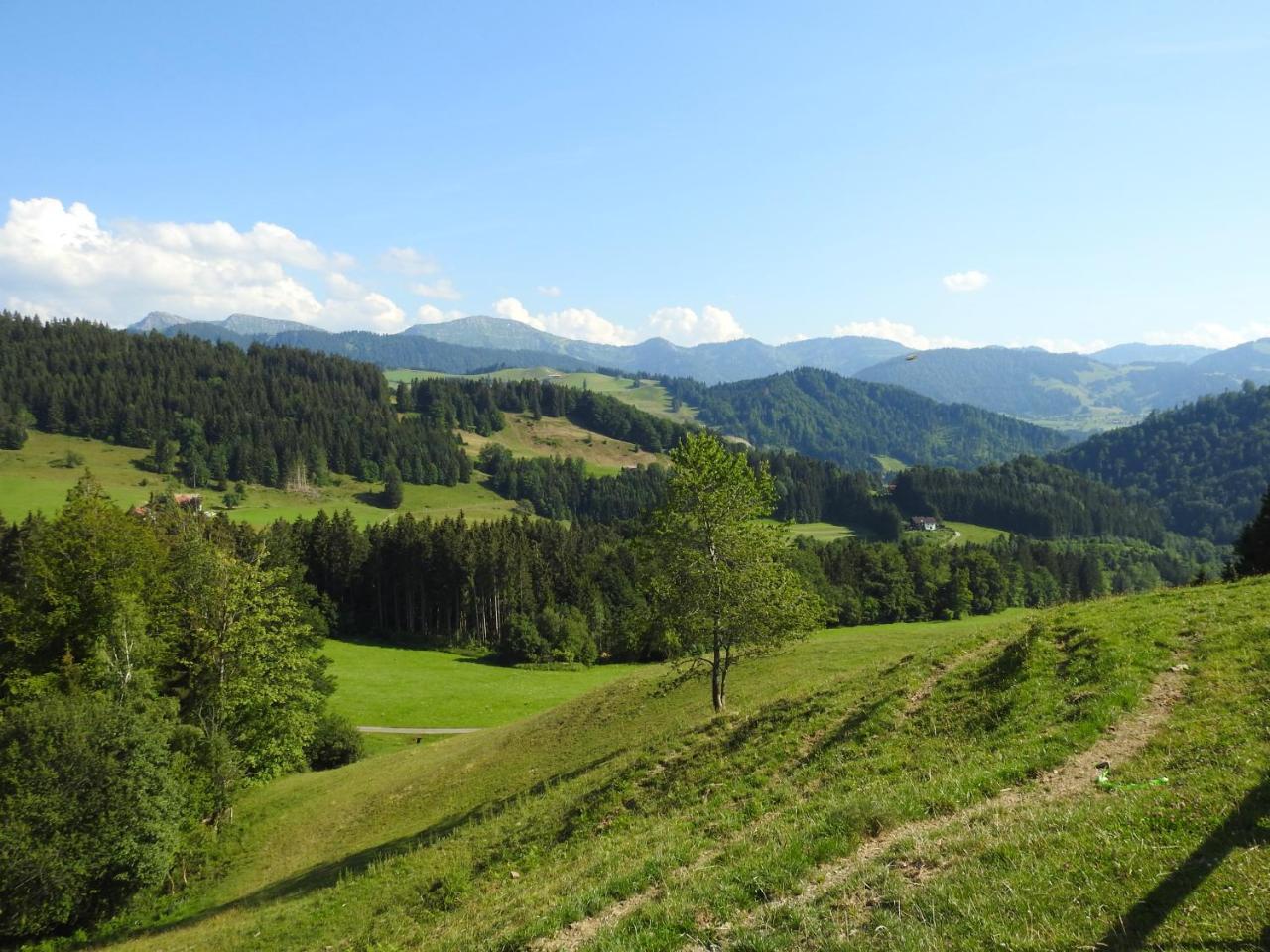 Ferienwohnungen Am Schlossberg Oberstaufen Exteriér fotografie